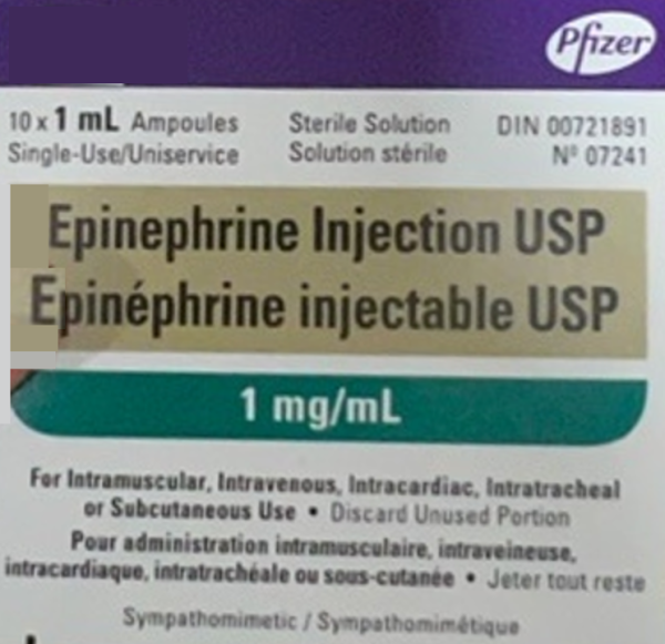 Epinéphrine injection 1mg/ml - QTY 10